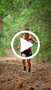 BIB:  <button type="button" onclick="openModal(26805291)" class="btn btn-primary btn-sm float-right" data-toggle="modal" data-target=".modal-high-quality">
                <i class="fa fa-download"></i> Download
                </button>